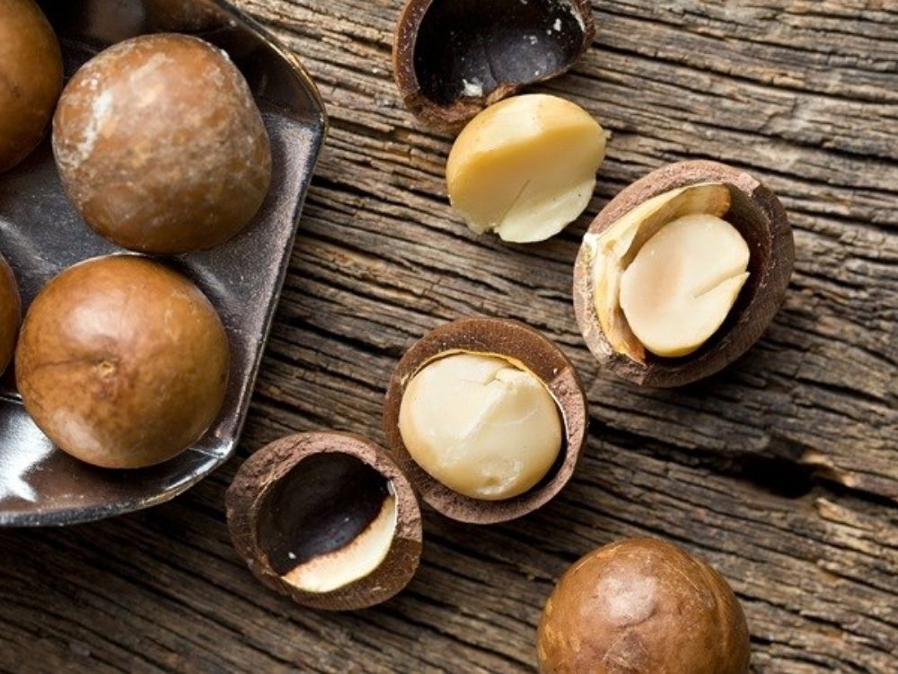 Hỗ trợ giảm cân & kiểm soát cân nặng
